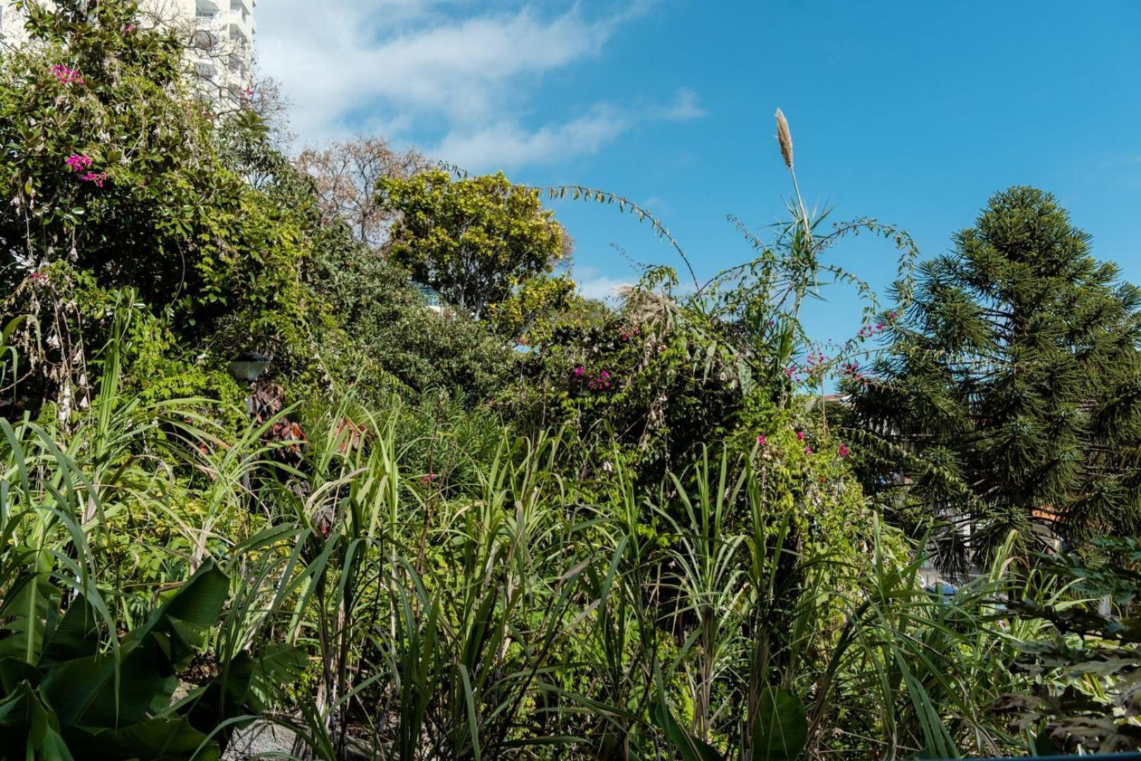 Guestready - Lido View Near The Beach Apartment ฟุงชาล ภายนอก รูปภาพ